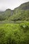 Azores landscape in Flores island. Waterfalls in Pozo da Alagoin