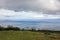 Azores landscape, Pico island, view to Sao Jorge island, cows outdoors, no people