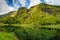 Azores scenic landscape, Flores island. Iconic lagoon with over 20 separate waterfalls on a single rockface, flowing into lake Ala