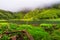 Azores scenic landscape, Flores island. Iconic lagoon with over 20 separate waterfalls on a single rockface, flowing into lake Ala