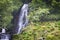 azores waterfall pictures