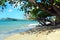 Azure blue sea and sandy beach with fine sand visible under a branch of leafy tree.