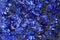 azurite mineral texture