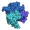 B-cell activating factor (BAFF, extracellular domain fragment) protein. Cytokine that acts as B cell activator. Target of the