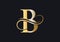 B Letter Initial Luxurious Logo Template. Premium B Logo Golden Concept. B Letter Logo with Golden Luxury Color and Monogram