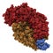 B-lymphocyte antigen CD20 epitope peptide fragment, bound to rituximab (Fab fragment). Indications for rituximab include leukemia