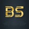 B and S - initials or golden logo. BS - Metallic 3d icon or logotype template. Design element with lineart option. Gold