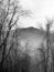 A B&W Great Smoky Mountains Forest Wintry Scene.