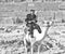 B&W photo of an Egyptian Antiquities police officer on a camel i