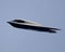 B2 stealth bomber in flight