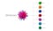 BA.1, BA.2, BA.3, BA.4, BA.5, delta - SARS-CoV-2 Covid-19 coronavirus omicron variants