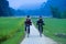 Ba Be Lakes / Vietnam, 02/11/2017: Two local Vietnamese boys on their way to school through a rice paddy during sunrise