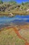 Babai River, Royal Bardia National Park, Nepal