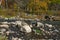 Babbling Brook with Boulders in a Fall Forest