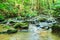 Babbling Brook in Green Forest