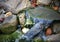 Babbling brook with water rushing over rocks