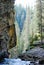 Babbling cascade water,rock walls,trees Rocky Mountains, Canada