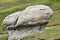 The Babele Rocks, Bucegi Mountains, Southern Carpathians, Romania