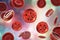 Babesia parasites inside red blood cell, the causative agent of babesiosis