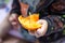 Babies hand holding a piece of juicy fresh orange. healthy eating. playing with fruits. learning from nature. Raw biological food