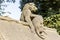 Baboon monkey sculpture from the Animal Wall of Cardiff Castle in Wales