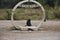 Baboon sitting in the Equator Marker in Uganda