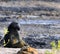 Baboon sitting in evening sun with eyes sparkling and facing camera