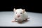Baby albino rat on white paper in lab