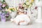 Baby with angel wings among flowers, valentine`s day concept, rear view