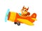 Baby animal character on plane, squirrel pilot