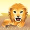 Baby Animal collection: Lion