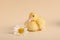 Baby animal. Cute fluffy duckling near flower on beige background