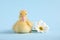 Baby animal. Cute fluffy duckling near flower on light blue background