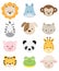 Baby Animal Faces