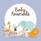 baby animals card