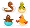 Baby animals hatch eggs or cartoon pets hatching. Vector flat isolated funny toy icons