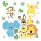 baby animals. Vector illustration decorative design