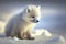 Baby Arctic fox,arctic fox in winter in Norway in winter landscape, Vulpes lagopus, Generative AI