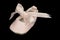 Baby Ballet Shoe