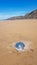 Baby Barrel Jellyfish on Cornish Beach