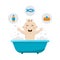 Baby bathing bath