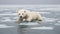 Baby bear floating on a tiny ice sheet in the vast ocean evokes a powerful and poignant scene. Generated with AI