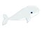 Baby beluga whale vector illustration