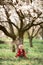 Baby in blooming apricot garden.