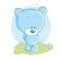 Baby blue bear