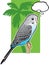 Baby Blue Budgerigar Parakeet