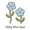 Baby blue eyes color icon. Linen blooming flower with name inscription. Nemophila menziesii garden plant. Blue flax