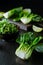 Baby bok choi halves, limes, green sprouts on black background