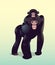 Baby bonobo on mom`s back