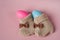 Baby booties and eggs in pink and blue. Definition of the child`s gender, the expectation of a child, the concept of pregnancy.